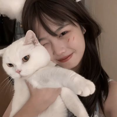锦绣情缘游戏下载